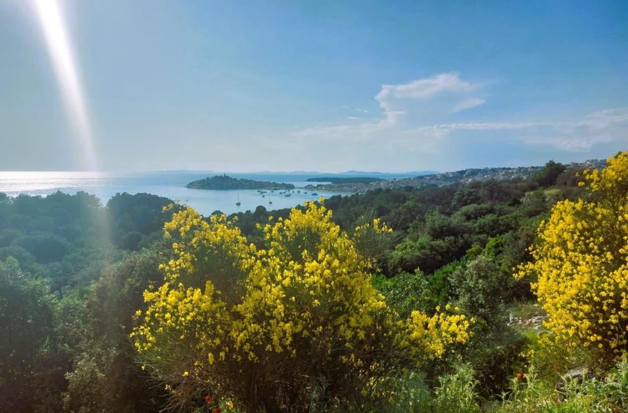 GrebašticaArte Oliva住宿加早餐旅馆 外观 照片