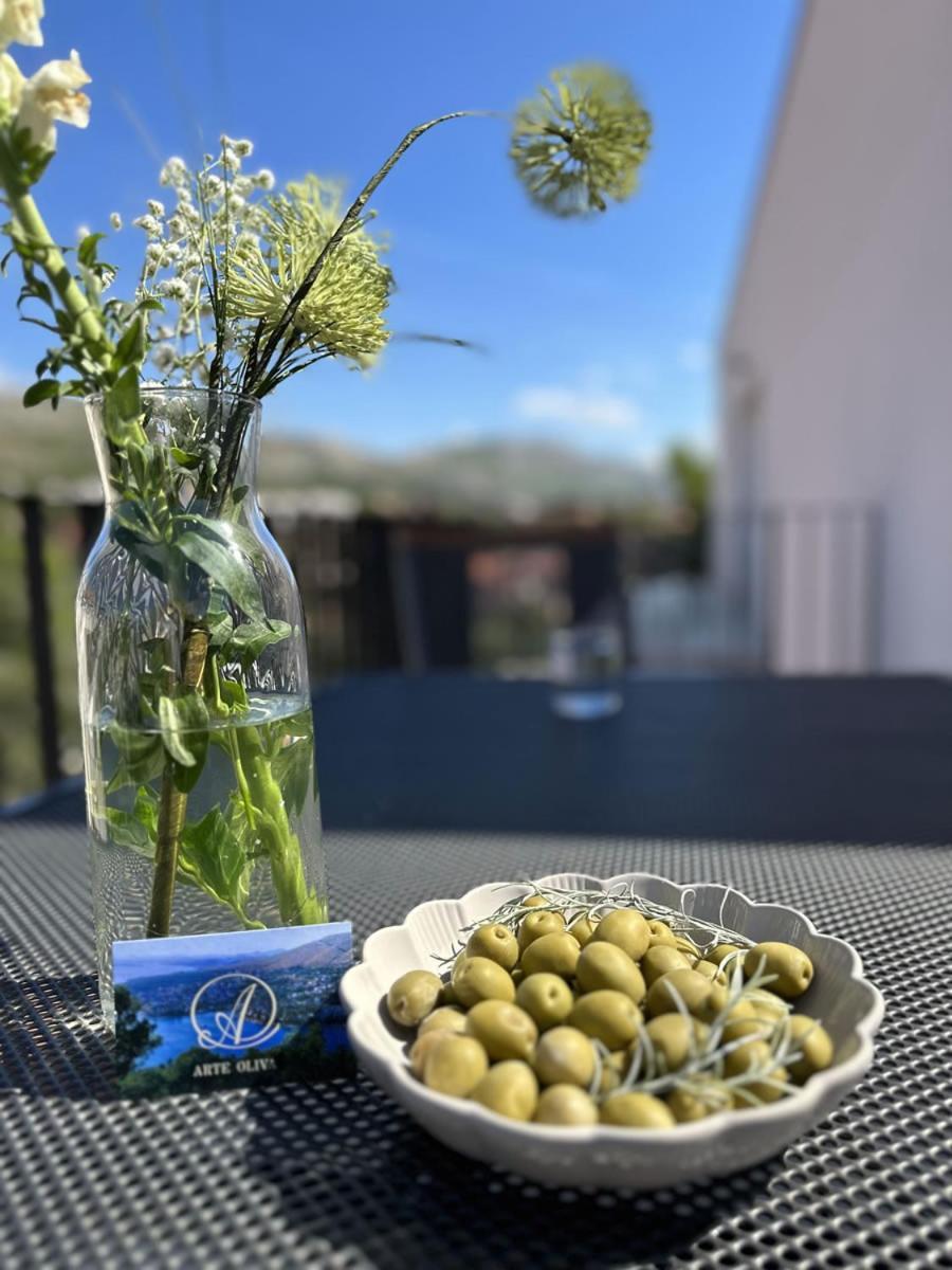 GrebašticaArte Oliva住宿加早餐旅馆 外观 照片