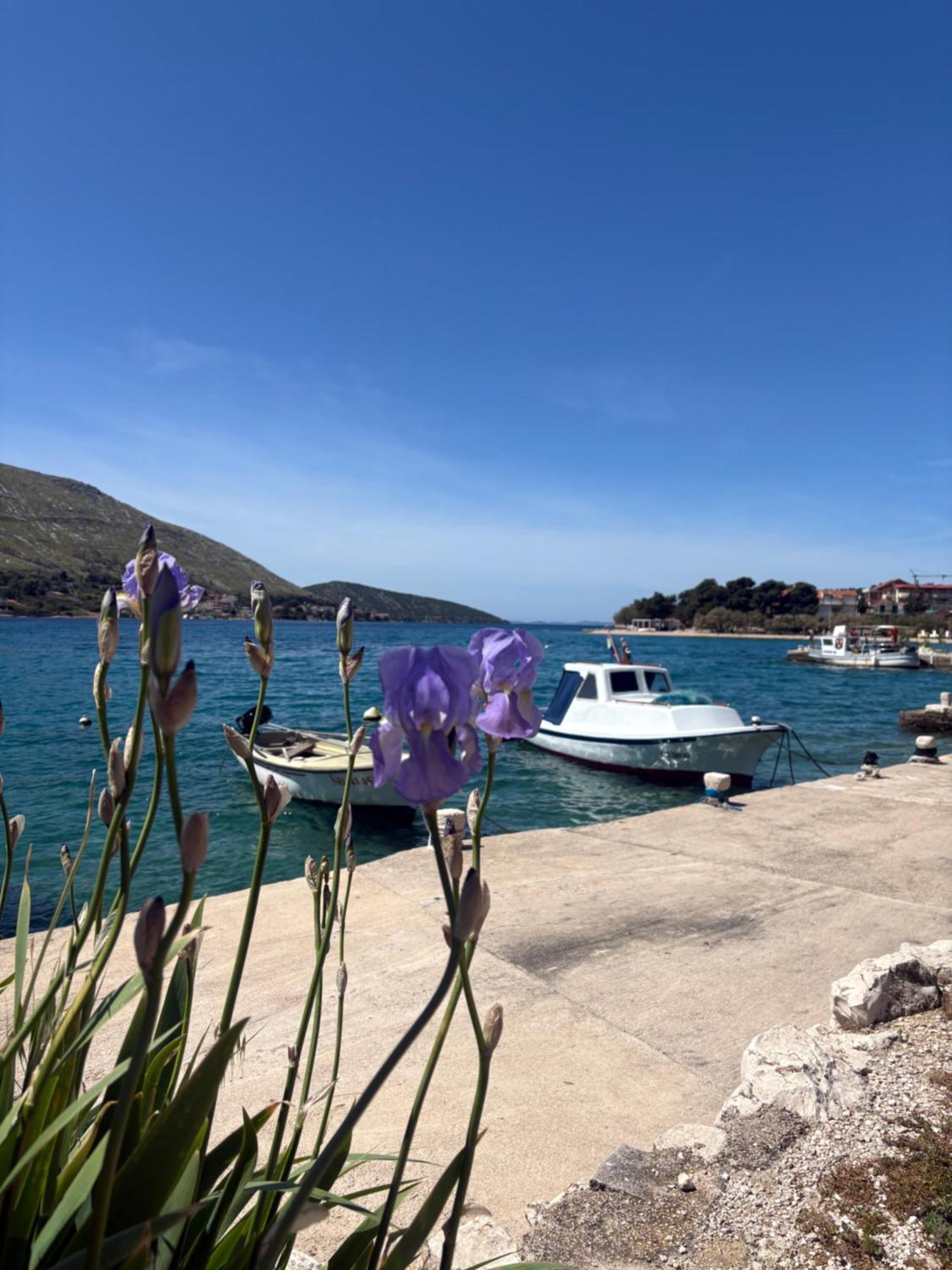GrebašticaArte Oliva住宿加早餐旅馆 外观 照片